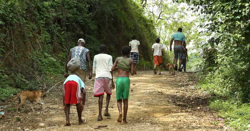 Photo of Crisis de seguridad: ataques y desplazamientos en cuatro departamentos del país
