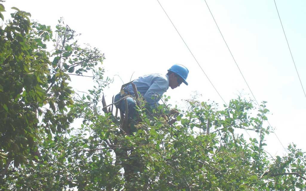 Photo of Condiciones climáticas adversas afectan la prestación del servicio en El Varal, Pueblo Nuevo