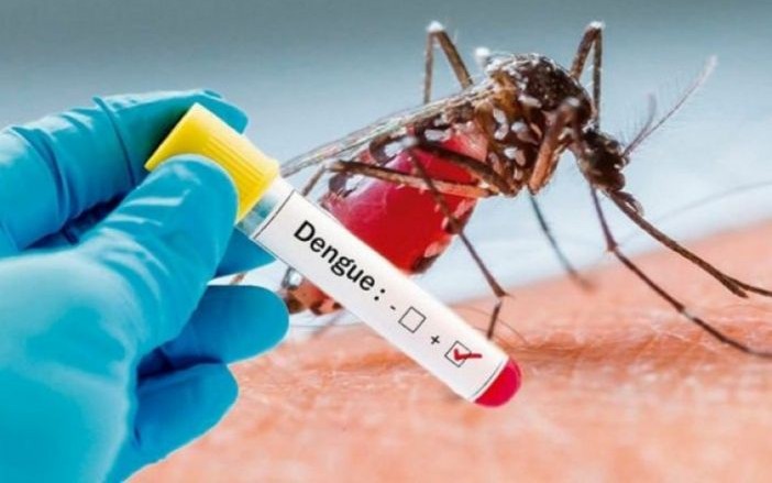 Photo of Aumentan muertes probables por dengue en Córdoba