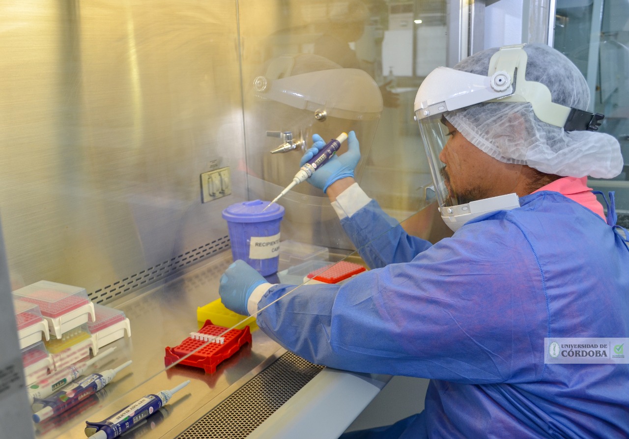 Photo of Reportan nuevo caso de coronavirus en Córdoba. Ya son 88 los contagiados