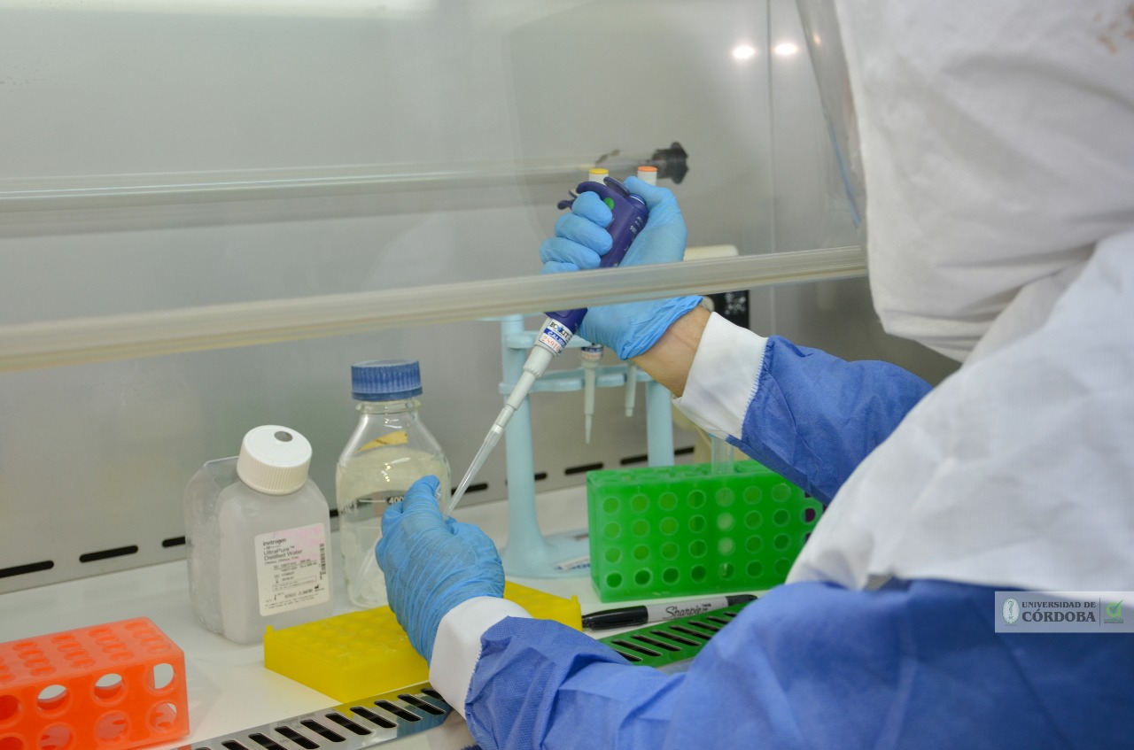 Photo of Muestreo de la Covid-19 en Córdoba es muy inferior al requerido: INS