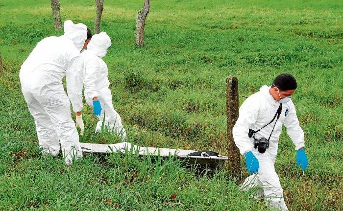 Photo of Sin identificar permanece hombre asesinado en zona rural de Puerto Libertador