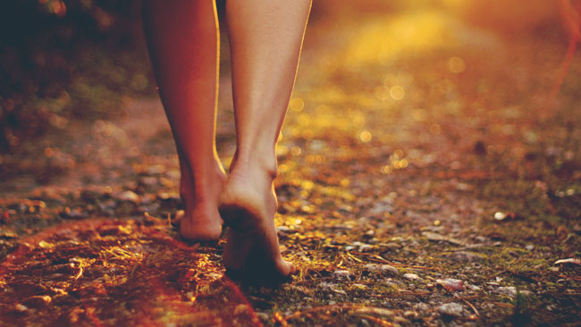 Photo of Espiritualidad | Jamás olvidemos las lecciones que nos ha dado la vida