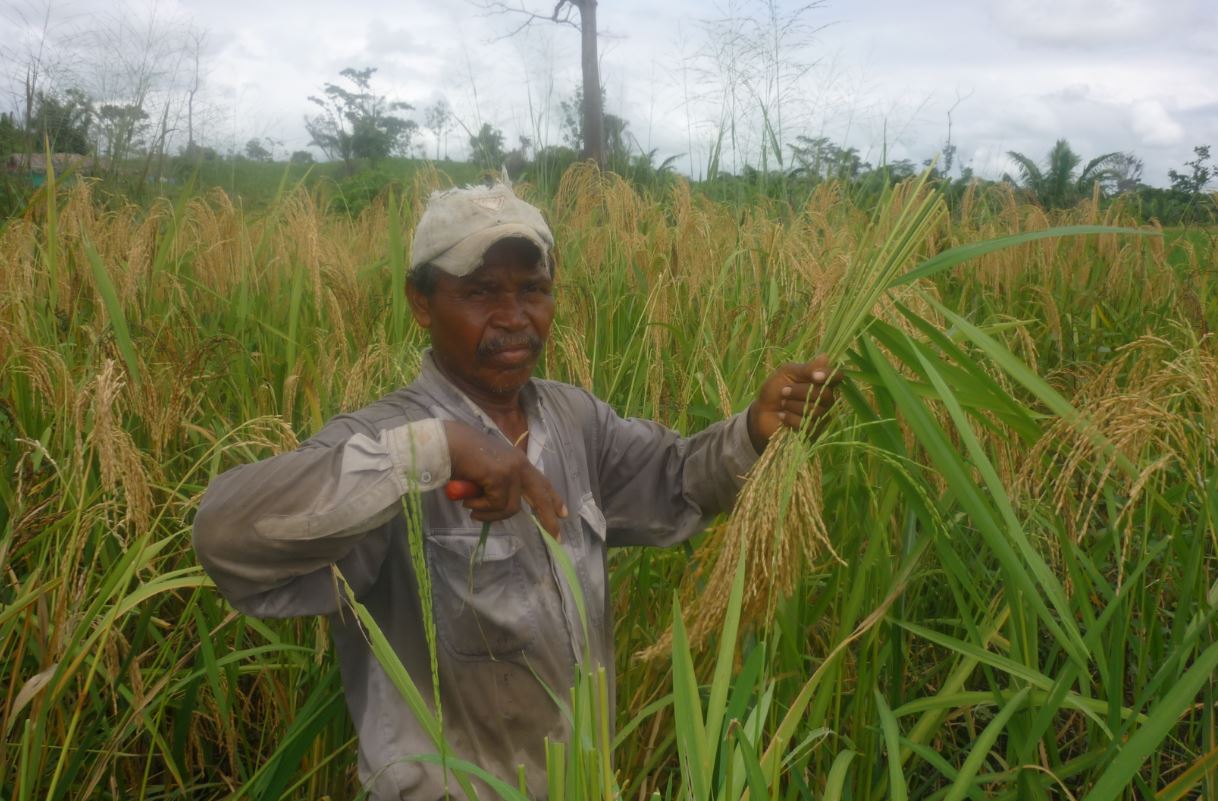 Photo of MinAgricultura implementa incentivo a comercialización del agro