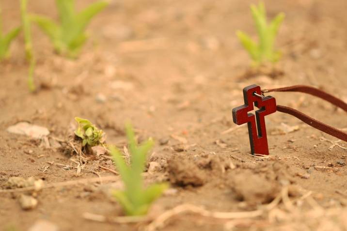 Photo of Espiritualidad | Sembrar la semilla de Dios en nuestra vida