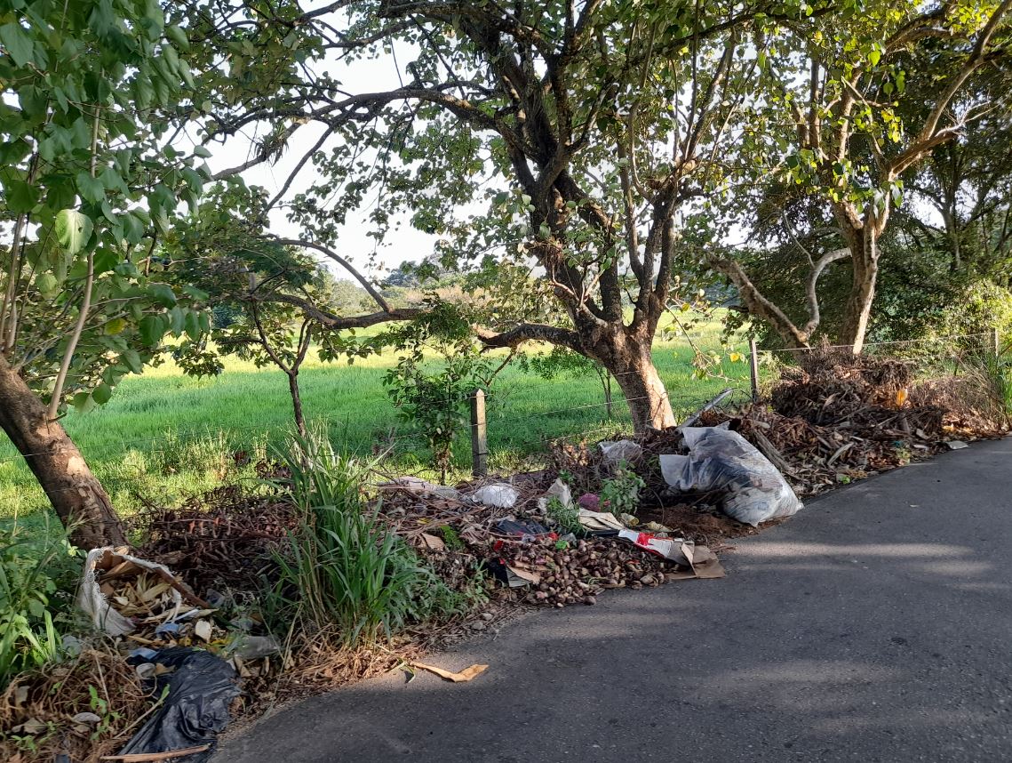 Photo of Sin erradicar permanece basurero satélite en La Apartada