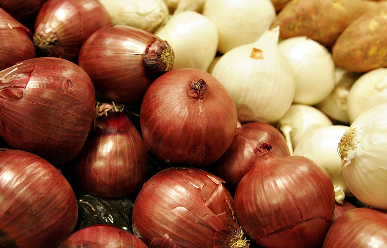 Photo of Descubre todos los beneficios que tiene el jugo de cebolla para tu piel y cabello