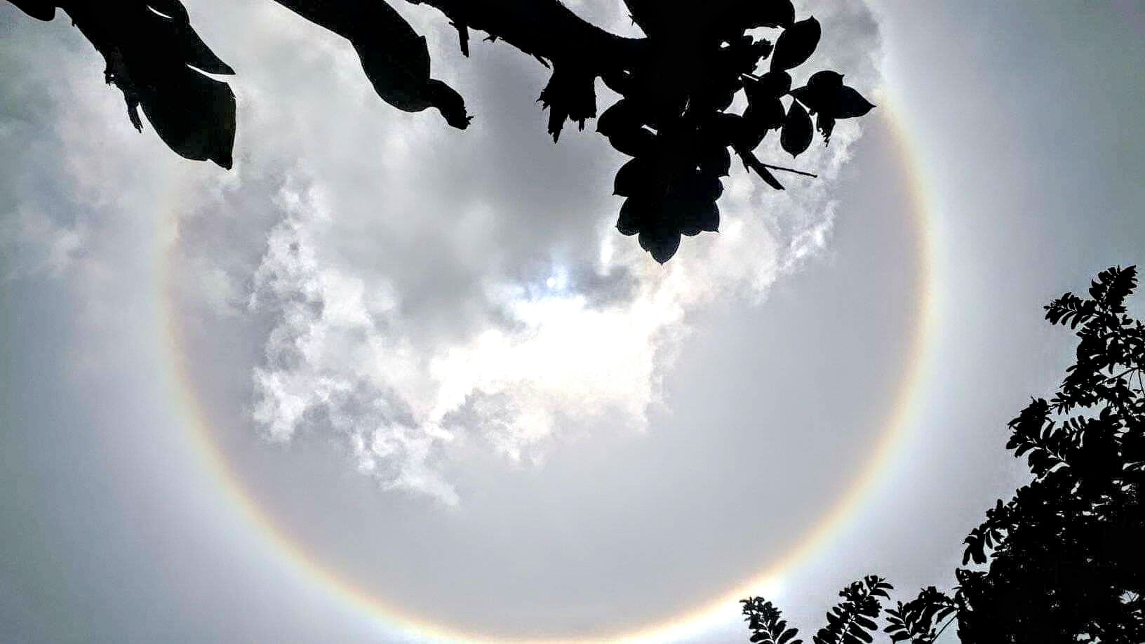 Photo of Halo Solar se dibujó este lunes en el cielo de Pueblo Nuevo