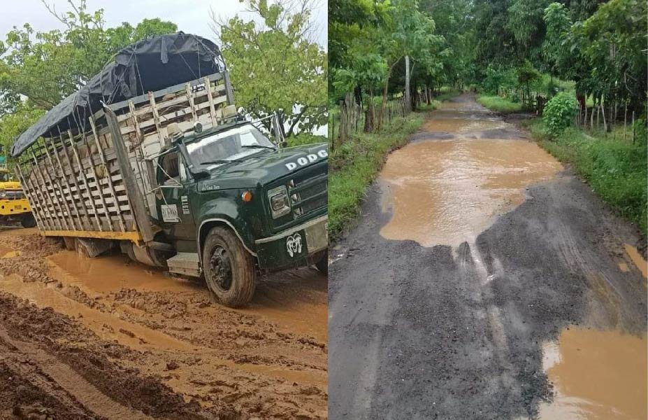 Photo of Llamado de auxilio por pésimo estado de vías rurales en Planeta Rica