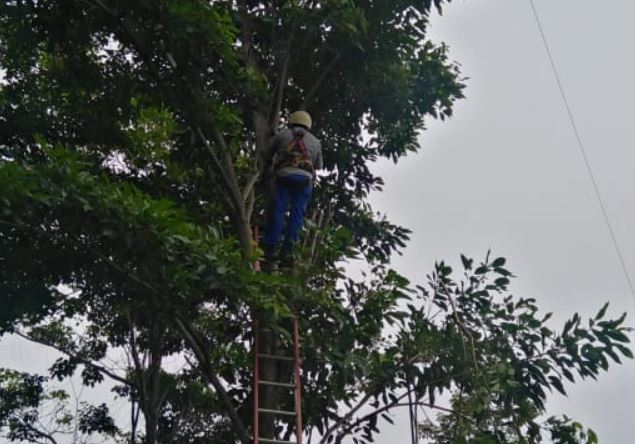 Photo of Afinia avanza en la calidad del servicio en Ayapel