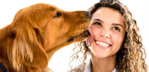 Photo of Por qué nos lamen realmente los perros, según los expertos