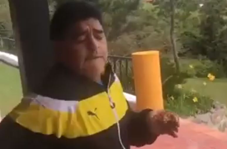 Photo of En vídeo | El día que Maradona se gozó una canción de Silvestre