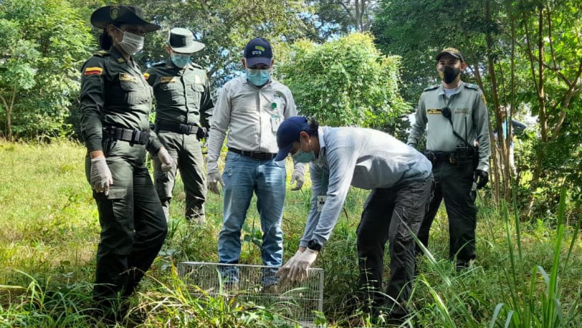 Photo of Liberan especies en reserva natural de Planeta Rica