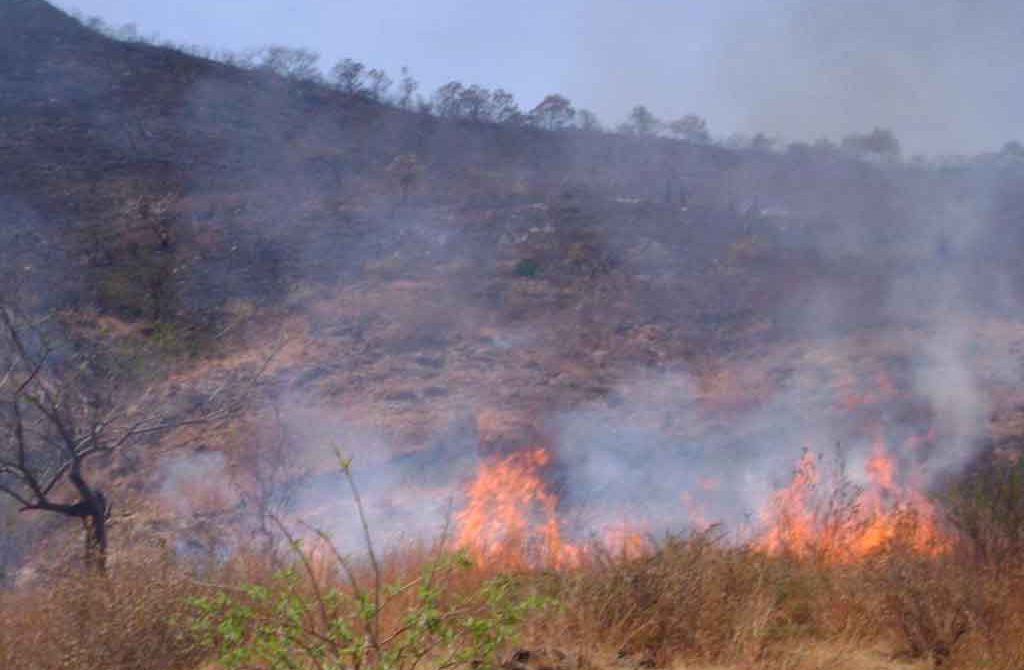 Photo of Dos municipios del San Jorge en alerta roja por incendios