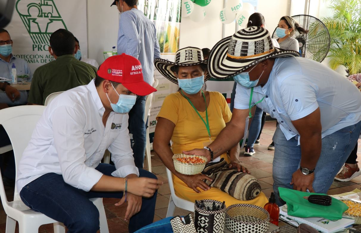Photo of En Córdoba se vendieron 42.200 toneladas de maíz de manera anticipada
