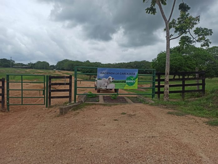 Photo of Fiscalía entregó bienes ubicados en Buenavista al fondo de reparación a víctimas