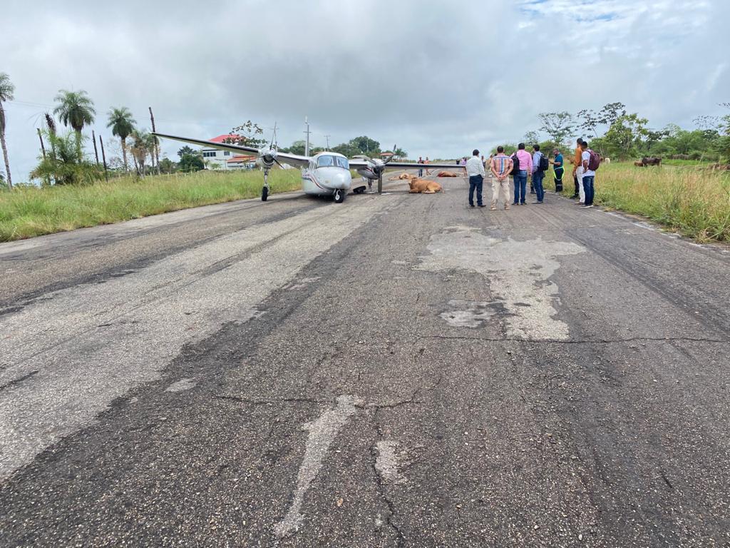 Photo of Avioneta se estrelló contra dos vacas en pista del sur de Bolívar