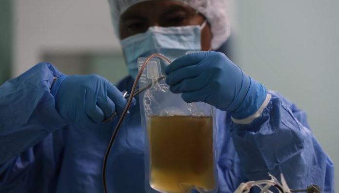 Photo of El suero de plasma de burros, la nueva apuesta de Bolivia contra la covid