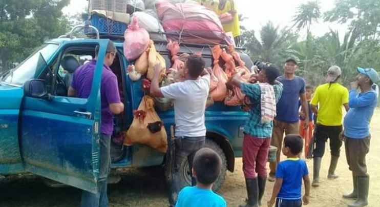 Photo of ONG Consejo Noruego de Refugiados alerta que conflicto frena avances de paz en Colombia