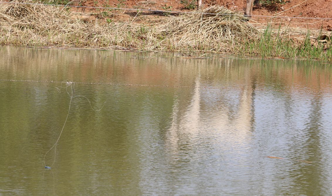 Photo of Niño de 2 años se ahogó en una represa en Ayapel