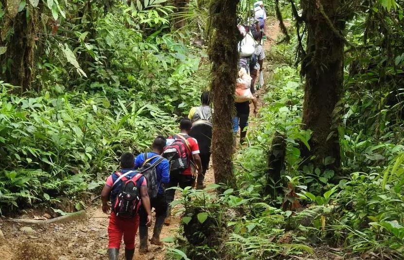 Photo of Defensoría alerta por aumento de municipios con riesgo por acciones del ELN y el Clan del Golfo