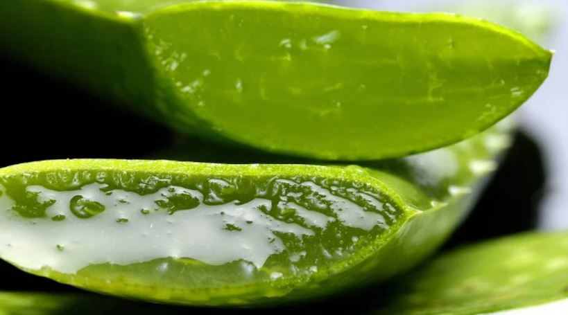 Photo of ¿Es bueno dormir con aloe vera aplicado en el rostro?