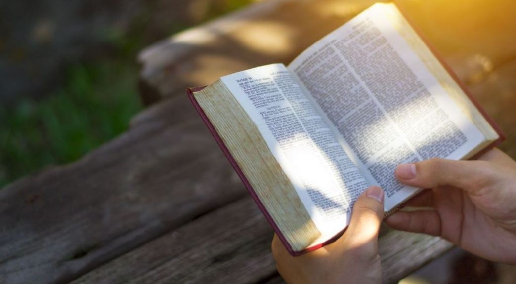 Photo of Palabra de Hoy | 3 pilares para crecer con Jesús