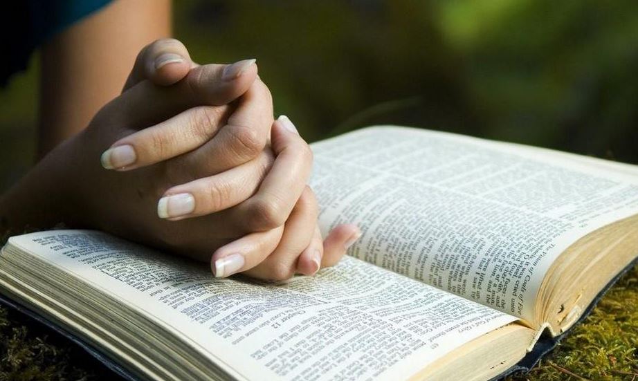 Photo of Lectura del día: Jueves 12 de Agosto