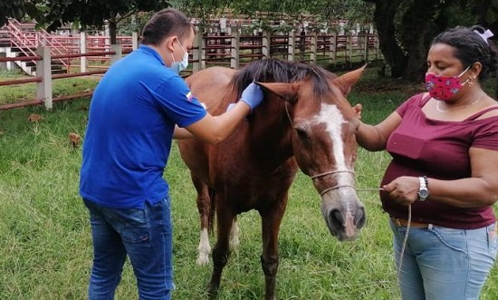 Photo of Detectan caso de encefalitis equina en Planeta Rica