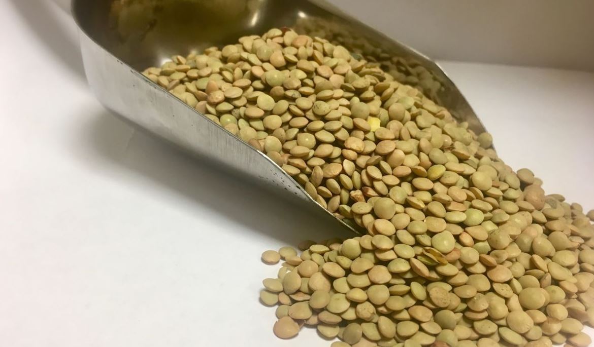 Photo of El dólar alto afectará los precios de varios productos de la canasta familiar