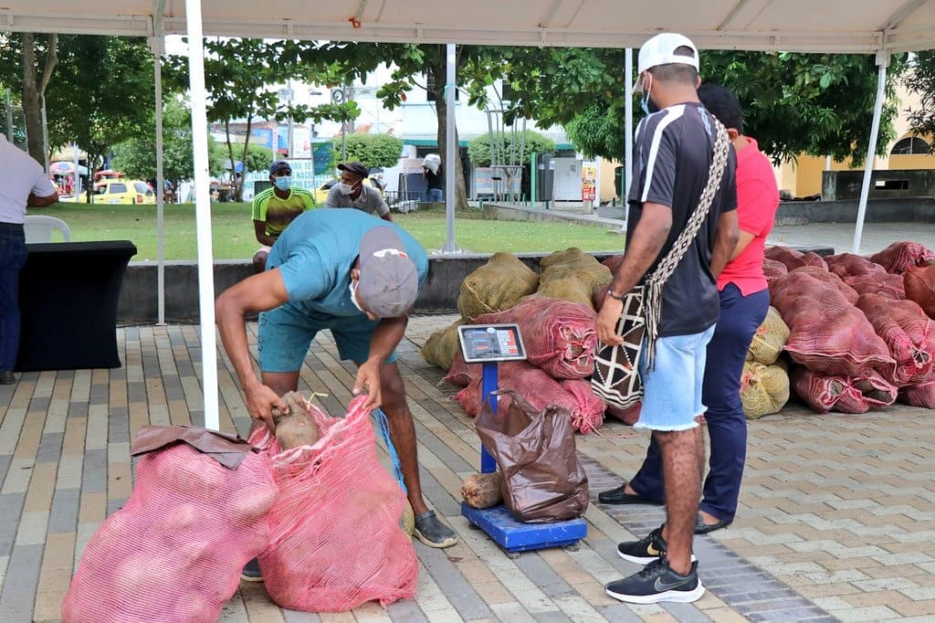 Photo of Productores de ñame de Moñitos entregan balance positivo tras ‘Ñametón’
