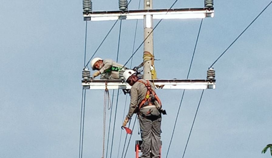 Photo of Este miércoles, realizarán mantenimiento de redes eléctricas en Puerto Libertador y San José de Uré