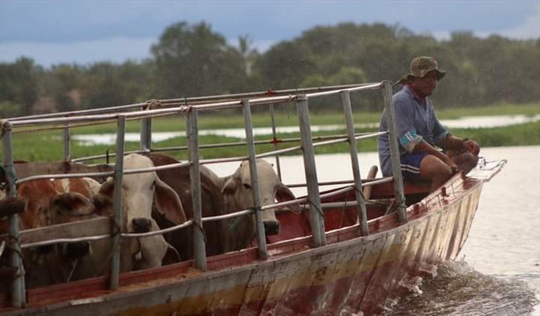 Photo of Inundaciones dejan cerca de 4.500 productores afectados en Córdoba