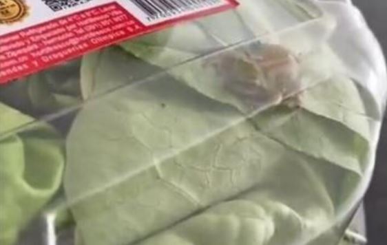 Photo of Supermercado en el ojo del huracán por una rana dentro de una lechuga