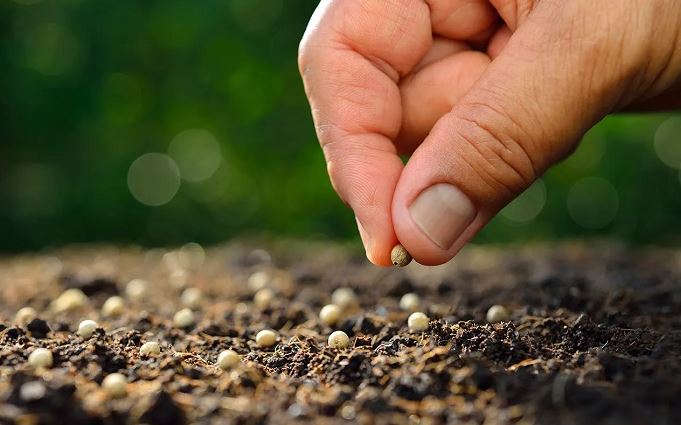 Photo of Palabra de Hoy | Basta con un poco de fe