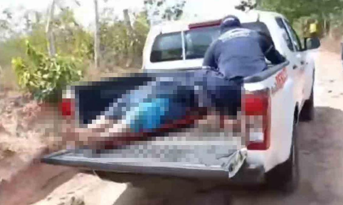 Photo of Muere campesino por ataque de abejas africanizadas en Sahagún