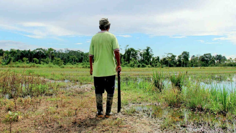 Photo of Al menos 78 defensores de derechos humanos asesinados en Colombia en 2021