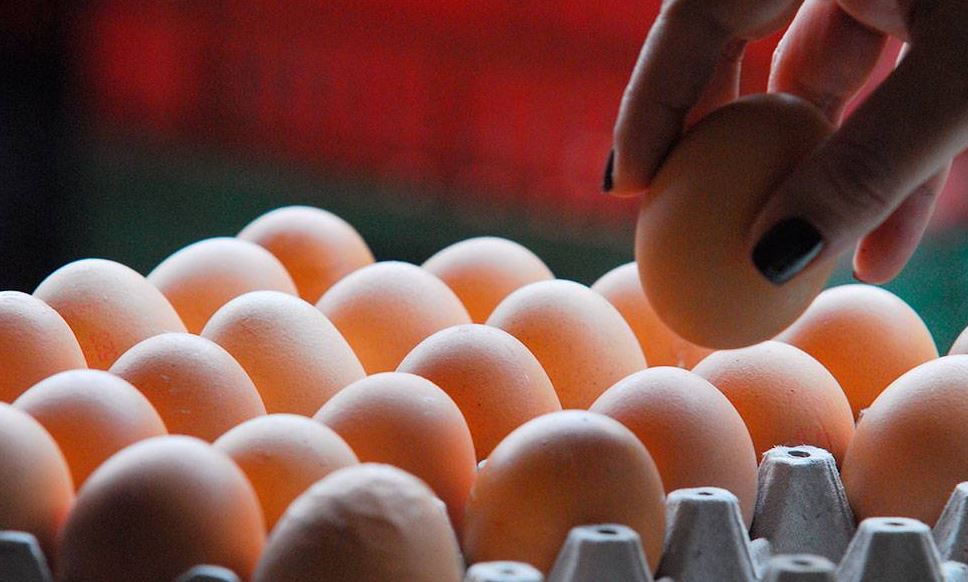 Photo of Precio del huevo este año seguirá «por las nubes», según Fenavi