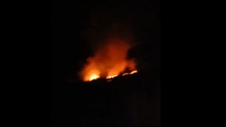 Photo of Incendio forestal arrasó con 7 hectáreas de una finca en La Apartada