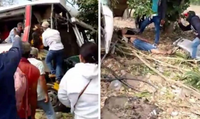 Photo of Bus se estrelló contra un árbol en la vía Moñitos – Lorica