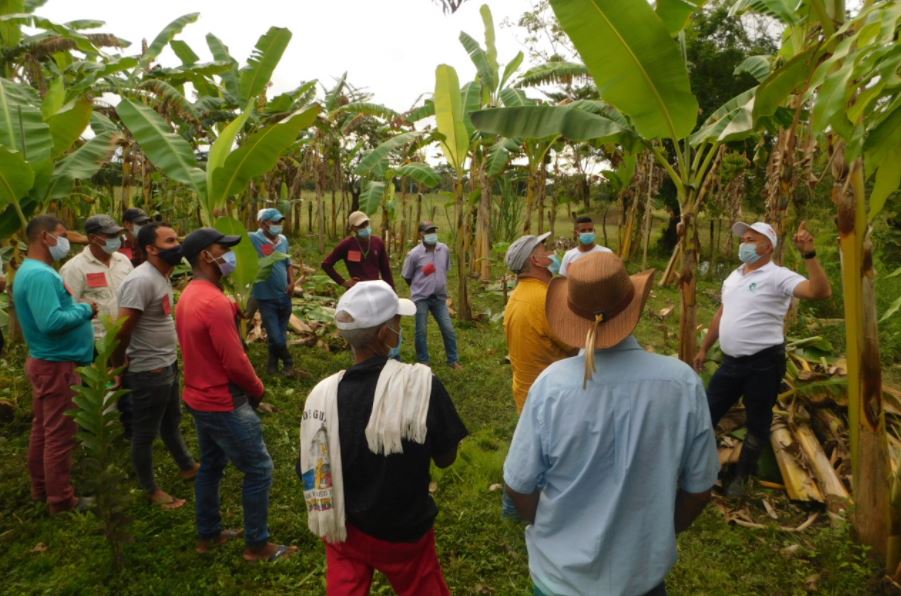 Photo of Productores agropecuarios de Pueblo Nuevo se benefician con servicio de Extensión Agropecuaria