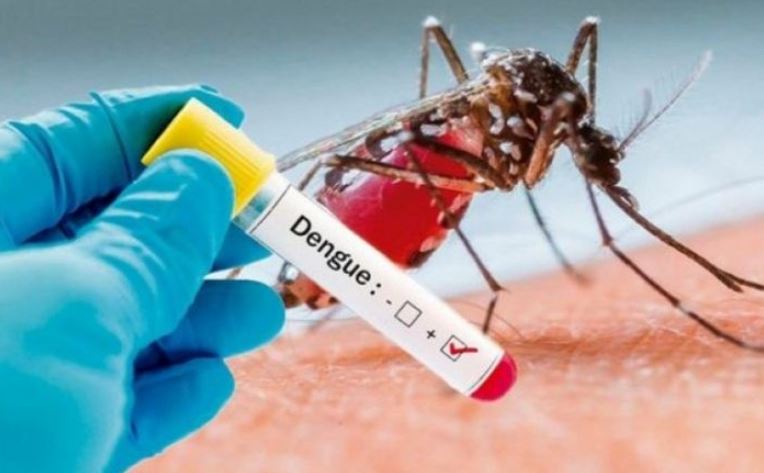 Photo of El dengue está «picando» duro a Córdoba en el 2022