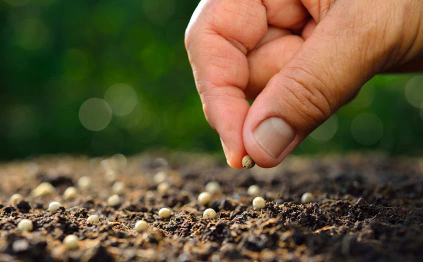 Photo of Palabra de Hoy | Debes tener fe para ver más allá