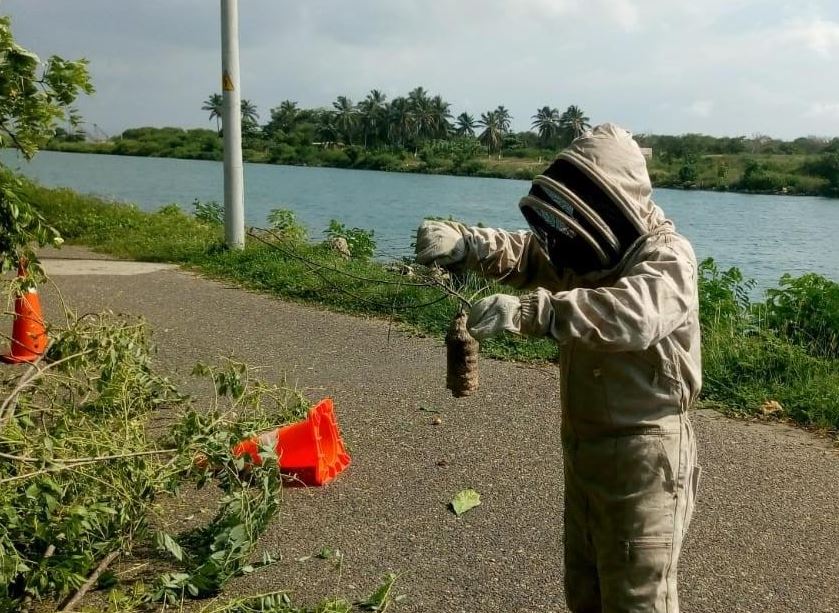 Photo of Afinia desarrolla una operación armónica  y respetuosa con el medio ambiente