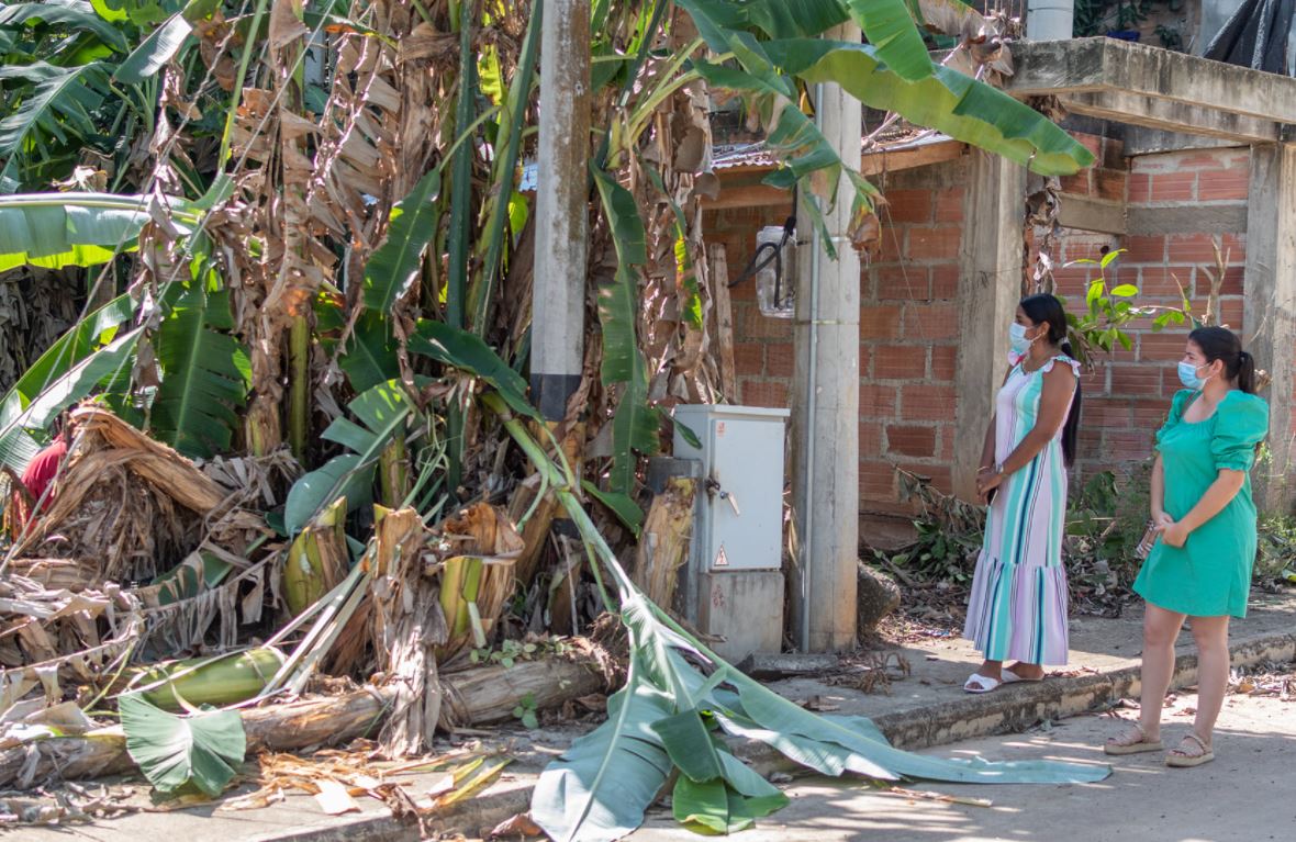 Photo of Realizan campaña de limpieza de zona, desmonte y poda de árboles en Pueblo Nuevo