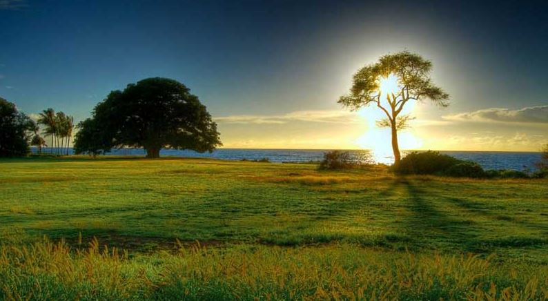 Photo of Palabra de Hoy | Cómo conseguir sabiduría
