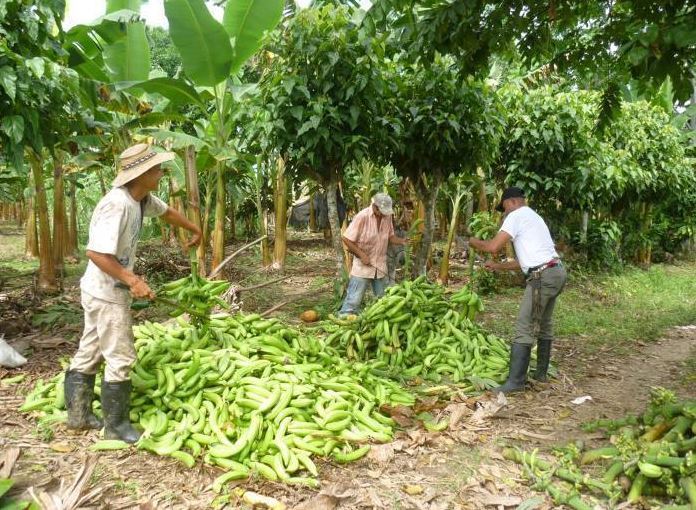 Photo of Convenio entre Gobernación de Córdoba y Banco Agrario beneficiará a pequeños productores