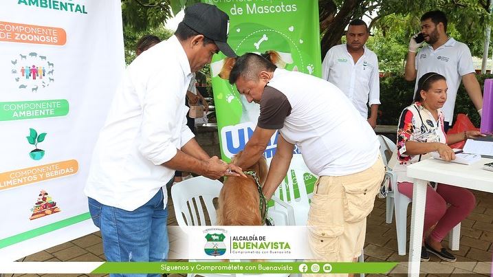 Photo of Alcaldía de Buenavista promueve la vacunación de perros y gatos para prevenir la rabia