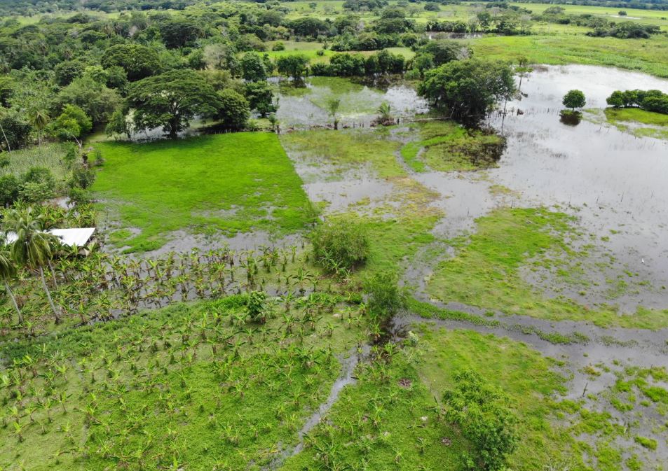 Photo of Cinco corregimientos están inundados en Pueblo Nuevo