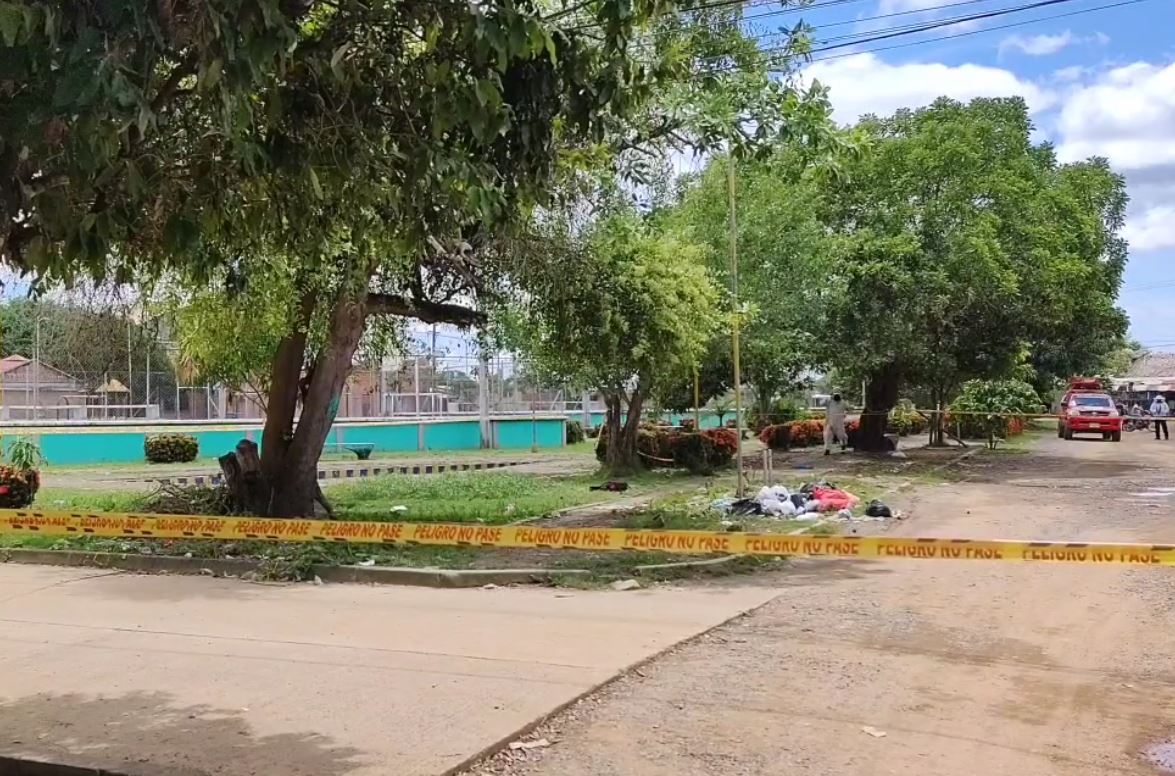 Photo of Pánico por enjambre de abejas africanas en sector residencial de Montelíbano